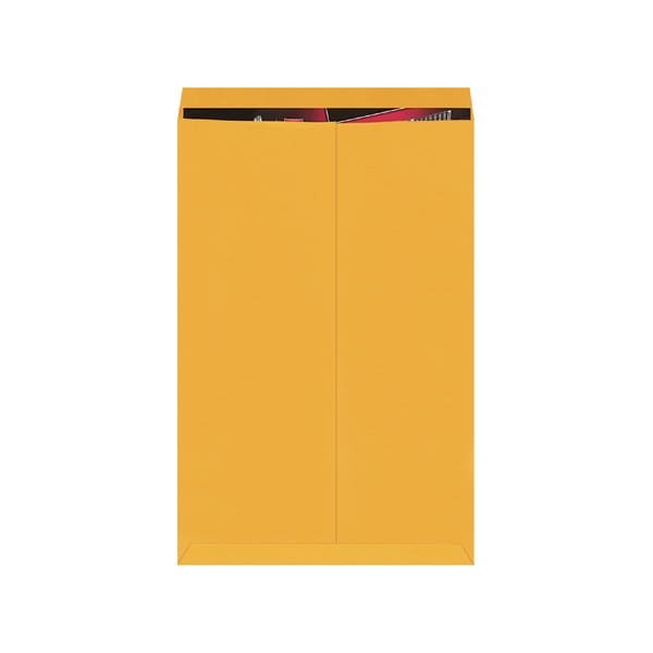 Bsc Preferred 24 x 36'' Kraft Jumbo Envelopes, 100PK BUY00020749 - main